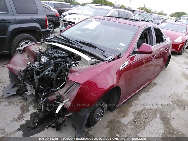 1G6DA5EY5B0151688 - 2011 CADILLAC CTS RED photo 2