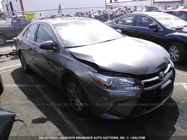 4T1BF1FK0FU114678 - 2015 TOYOTA CAMRY LE/XLE/SE/XSE GRAY photo 1