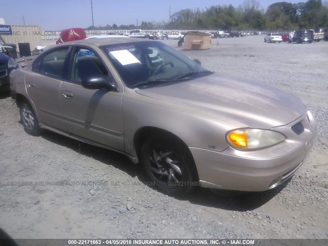 1G2NF52E24C139257 - 2004 PONTIAC GRAND AM SE1 GOLD photo 1