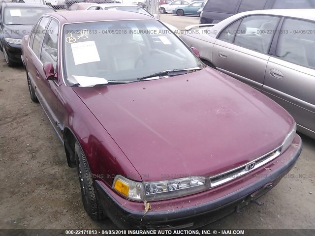 JHMCB765XMC062513 - 1991 HONDA ACCORD LX/EX BURGUNDY photo 6