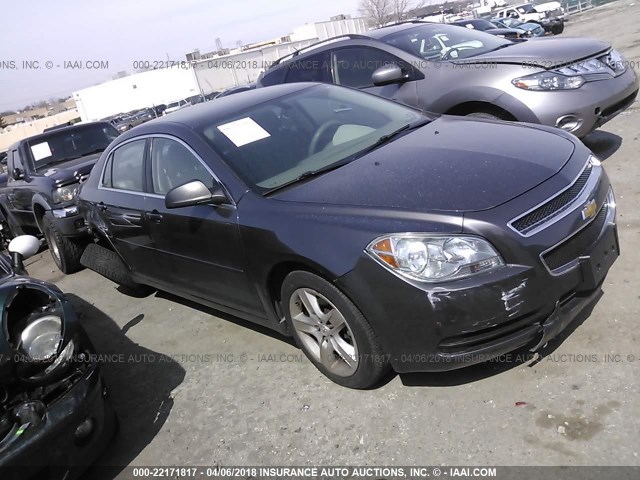 1G1ZA5E06AF216078 - 2010 CHEVROLET MALIBU LS GRAY photo 1