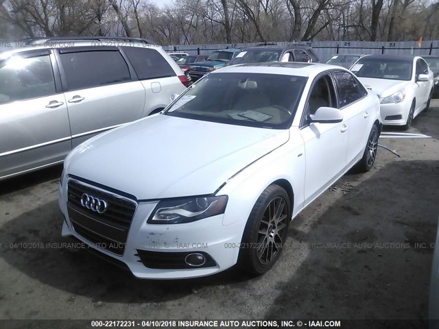 WAUFFAFL1CA072319 - 2012 AUDI A4 PREMIUM PLUS WHITE photo 2