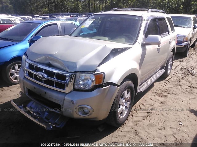 1FMCU0EG5BKA47678 - 2011 FORD ESCAPE LIMITED GOLD photo 2