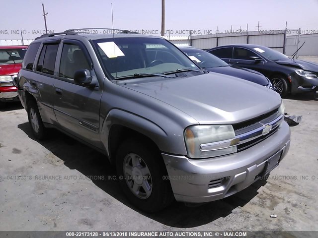 1GNDT13S222472856 - 2002 CHEVROLET TRAILBLAZER  GRAY photo 1