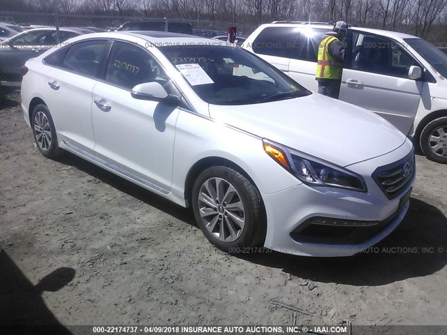 5NPE34AF3GH430402 - 2016 HYUNDAI SONATA SPORT/LIMITED WHITE photo 1