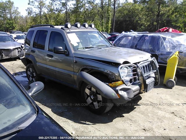 1J4GL48K36W217965 - 2006 JEEP LIBERTY SPORT 香槟色 照片 1
