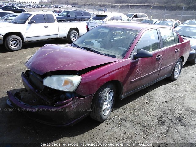 1G1ZT52875F307466 - 2005 CHEVROLET MALIBU LS წითელი ფოტო 2