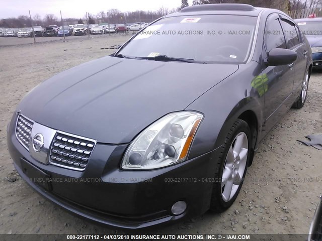 1N4BA41E26C839300 - 2006 NISSAN MAXIMA SE/SL GRAY photo 2