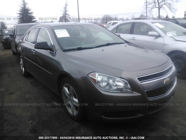 1G1ZB5E01CF203030 - 2012 CHEVROLET MALIBU LS 棕色 照片 1