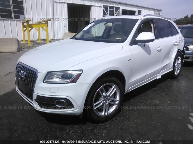 WA1DGAFP8DA031627 - 2013 AUDI Q5 PREMIUM PLUS WHITE photo 2