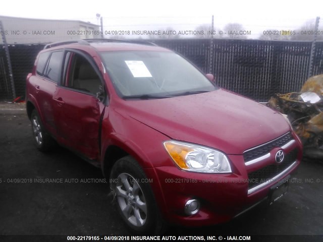 JTMDF4DV5A5032802 - 2010 TOYOTA RAV4 LIMITED Tünd qırmızı foto 1
