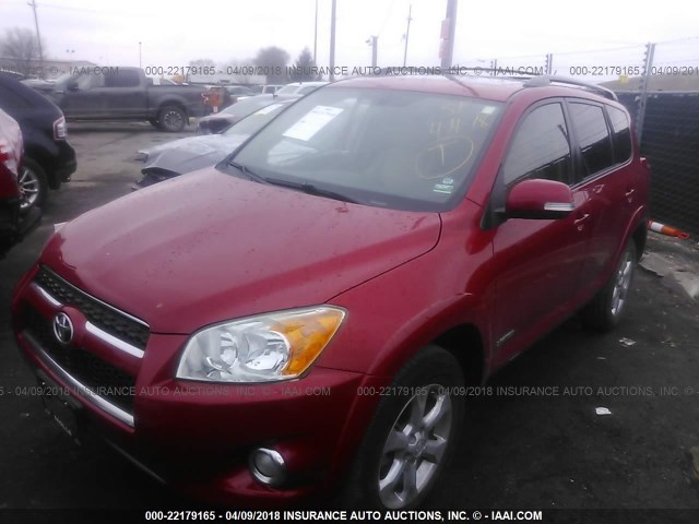 JTMDF4DV5A5032802 - 2010 TOYOTA RAV4 LIMITED MAROON photo 2