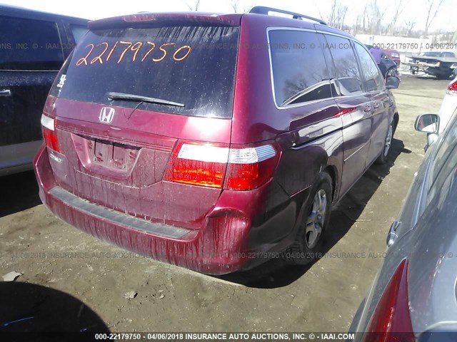 5FNRL387X6B412373 - 2006 HONDA ODYSSEY EXL RED photo 4