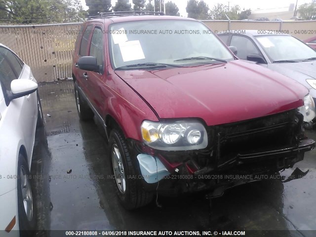 1FMYU93156KD17877 - 2006 FORD ESCAPE XLT RED photo 1