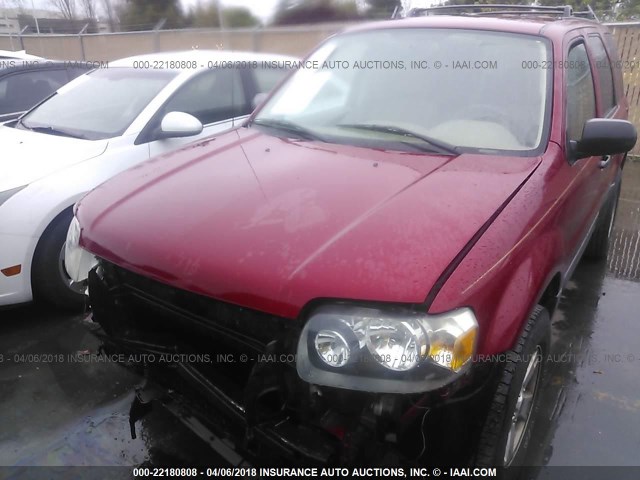 1FMYU93156KD17877 - 2006 FORD ESCAPE XLT RED photo 2