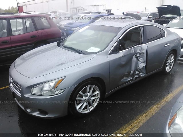 1N4AA51E79C843476 - 2009 NISSAN MAXIMA S/SV GRAY photo 2