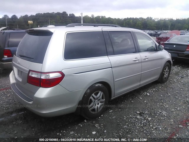 5FNRL38706B461520 - 2006 HONDA ODYSSEY EXL ვერცხლისფერი ფოტო 4
