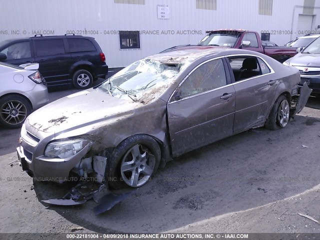 1G1ZB5E16BF152759 - 2011 CHEVROLET MALIBU LS 棕色 照片 2