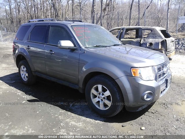 1FMCU9EG1AKC44138 - 2010 FORD ESCAPE LIMITED GRAY photo 1