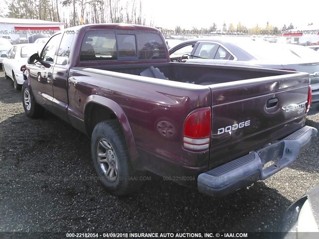 1D7HL12X53S103102 - 2003 DODGE DAKOTA SXT BURGUNDY photo 3