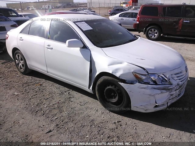 4T4BE46K99R051093 - 2009 TOYOTA CAMRY SE/LE/XLE WHITE photo 1