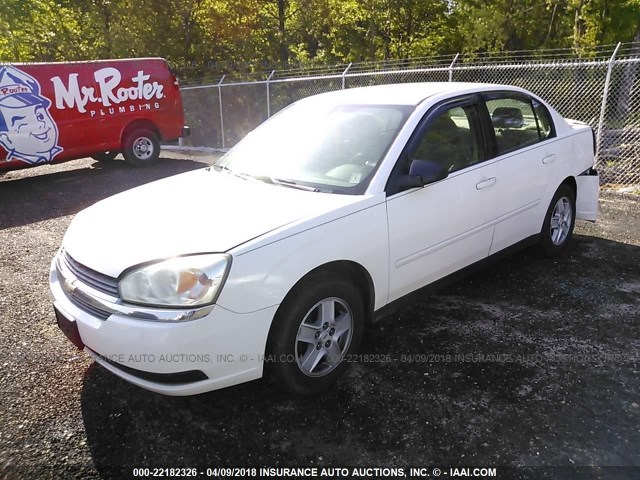 1G1ZT54805F192187 - 2005 CHEVROLET MALIBU LS 白色 照片 2