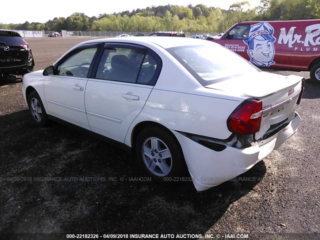 1G1ZT54805F192187 - 2005 CHEVROLET MALIBU LS 白色 照片 3