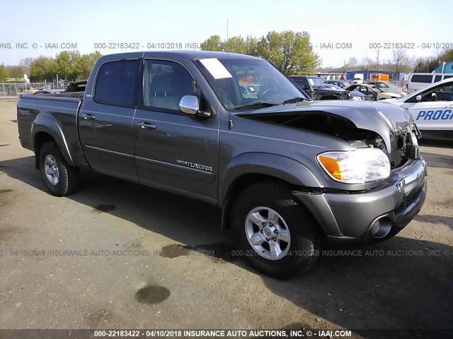 5TBDT44116S547134 - 2006 TOYOTA TUNDRA DOUBLE CAB SR5 GRAY photo 1