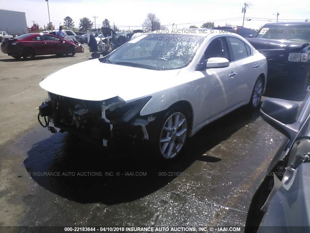 1N4AA51E99C809152 - 2009 NISSAN MAXIMA S/SV WHITE photo 2