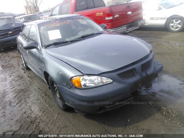 1G2NF52E24M673286 - 2004 PONTIAC GRAND AM SE1 GRAY photo 1