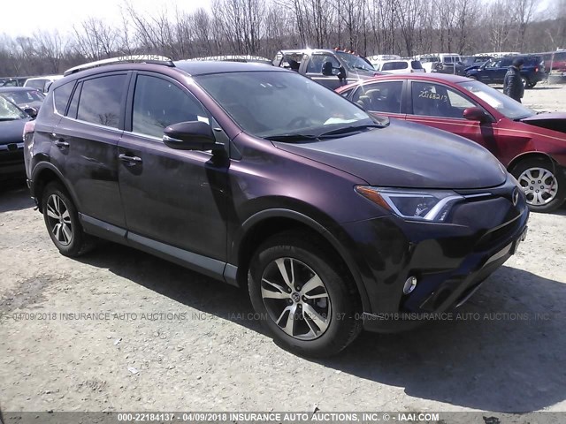 2T3RFREV9JW713121 - 2018 TOYOTA RAV4 ADVENTURE/XLE Bordo foto 1