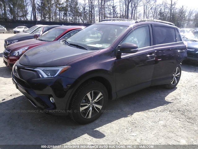 2T3RFREV9JW713121 - 2018 TOYOTA RAV4 ADVENTURE/XLE Bordo foto 2