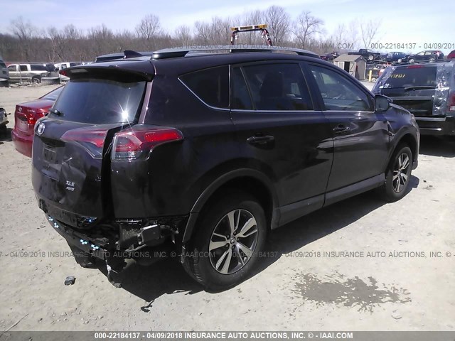 2T3RFREV9JW713121 - 2018 TOYOTA RAV4 ADVENTURE/XLE Bordo foto 4