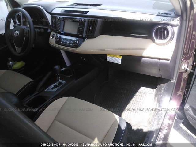 2T3RFREV9JW713121 - 2018 TOYOTA RAV4 ADVENTURE/XLE Bordo foto 5