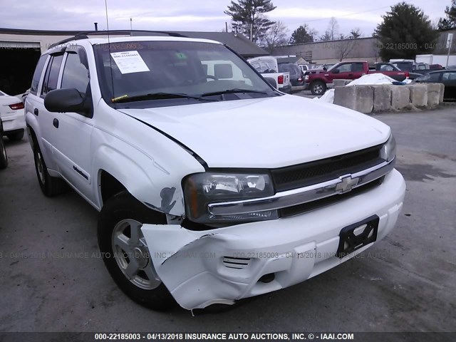 1GNDT13S422146928 - 2002 CHEVROLET TRAILBLAZER  WHITE photo 1