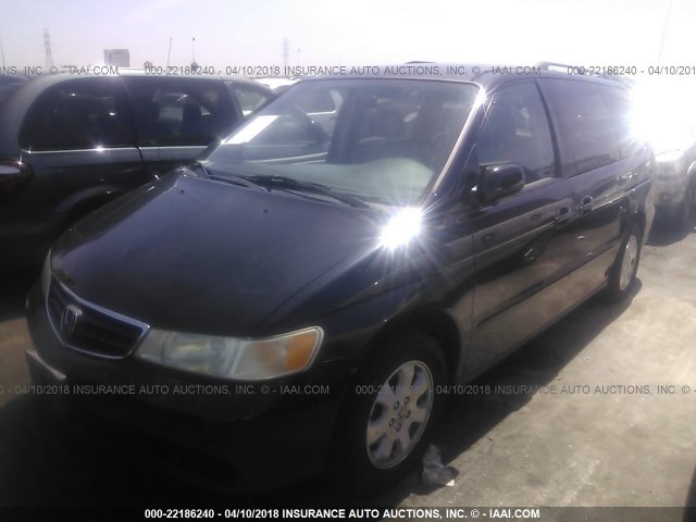 5FNRL18934B025943 - 2004 HONDA ODYSSEY EXL BLACK photo 2