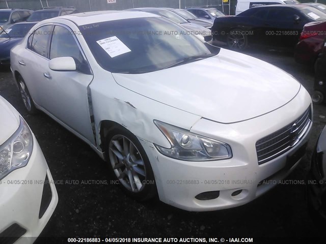 1N4AA51E29C858029 - 2009 NISSAN MAXIMA S/SV WHITE photo 1