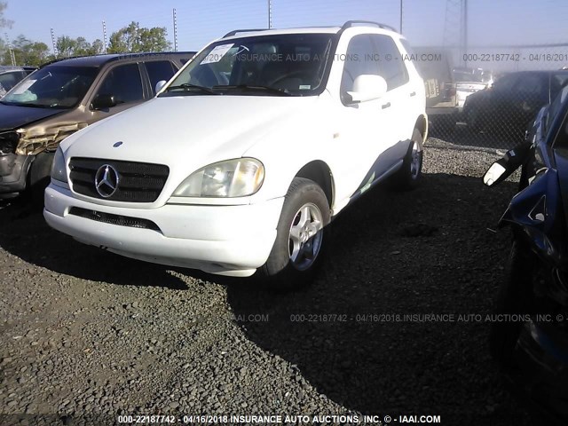 4JGAB54E6YA180894 - 2000 MERCEDES-BENZ ML 320 WHITE photo 2