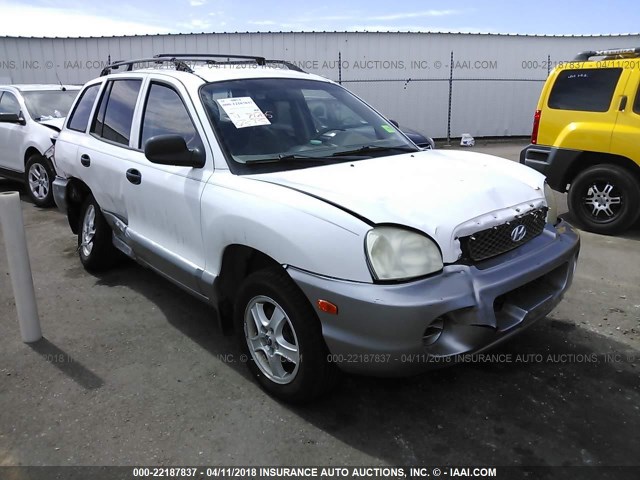 KM8SB73D62U143956 - 2002 HYUNDAI SANTA FE WHITE photo 1