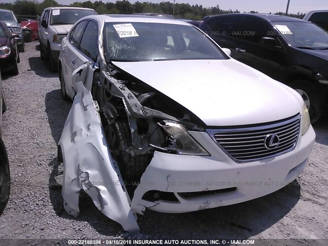 JTHBL46F675034166 - 2007 LEXUS LS 460 WHITE photo 6