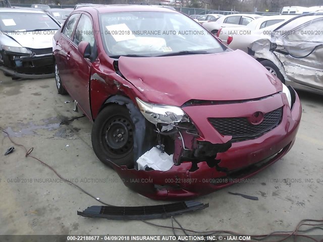 2T1BU4EE5AC265383 - 2010 TOYOTA COROLLA S/LE/XLE RED photo 6