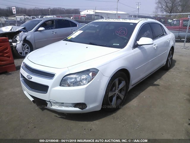 1G1ZC5E10BF210748 - 2011 CHEVROLET MALIBU 1LT 白色 照片 2