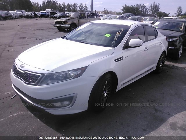 KNAGM4AD6D5058602 - 2013 KIA OPTIMA HYBRID WHITE photo 2