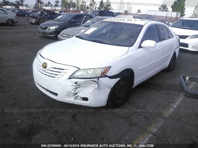 4T1BE46K09U825645 - 2009 TOYOTA CAMRY SE/LE/XLE WHITE photo 2