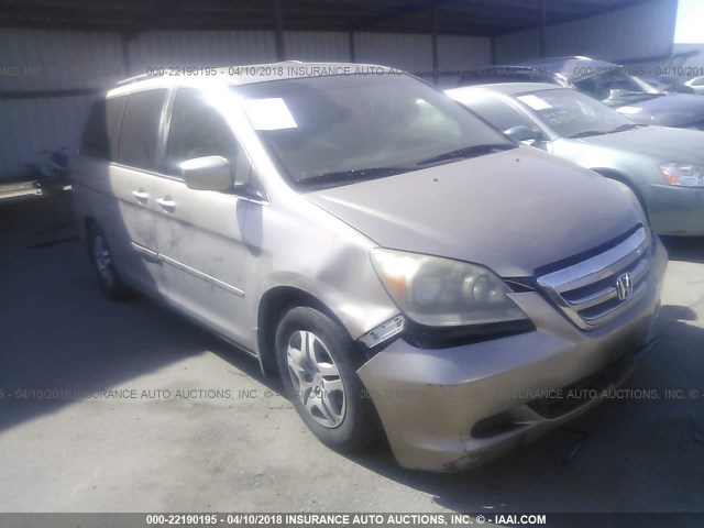 5FNRL38687B413983 - 2007 HONDA ODYSSEY EXL თაფლისფერი ფოტო 1