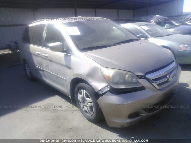 5FNRL38687B413983 - 2007 HONDA ODYSSEY EXL TAN photo 1