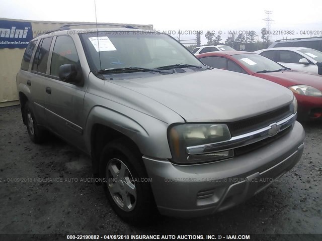 1GNDT13S622459298 - 2002 CHEVROLET TRAILBLAZER  TAN photo 1