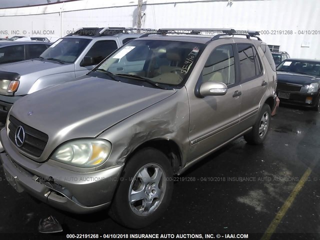 4JGAB54E92A365237 - 2002 MERCEDES-BENZ ML 320 GOLD photo 2