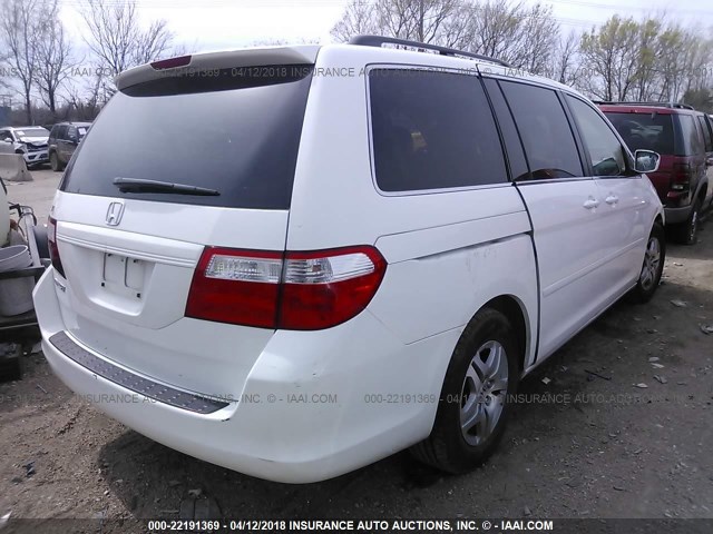 5FNRL38757B145225 - 2007 HONDA ODYSSEY EXL თეთრი ფოტო 4