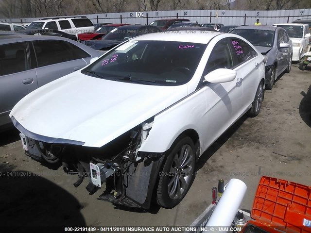 5NPEC4AB2CH478917 - 2012 HYUNDAI SONATA SE/LIMITED WHITE photo 2